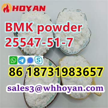 Bmk glycidic acid cas 25547-51-7 powder high purity